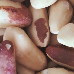 Brazilian Peanut Castanha do Para Nuts