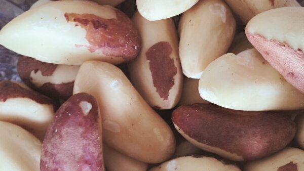 Brazilian Peanut Castanha do Para Nuts